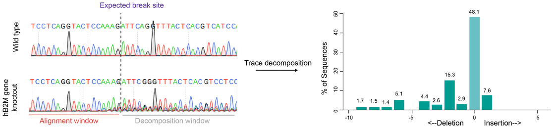 CRISPR Cell Lines